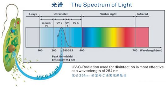 科普！紫外線殺菌燈對(duì)人體影響及正確使用方法